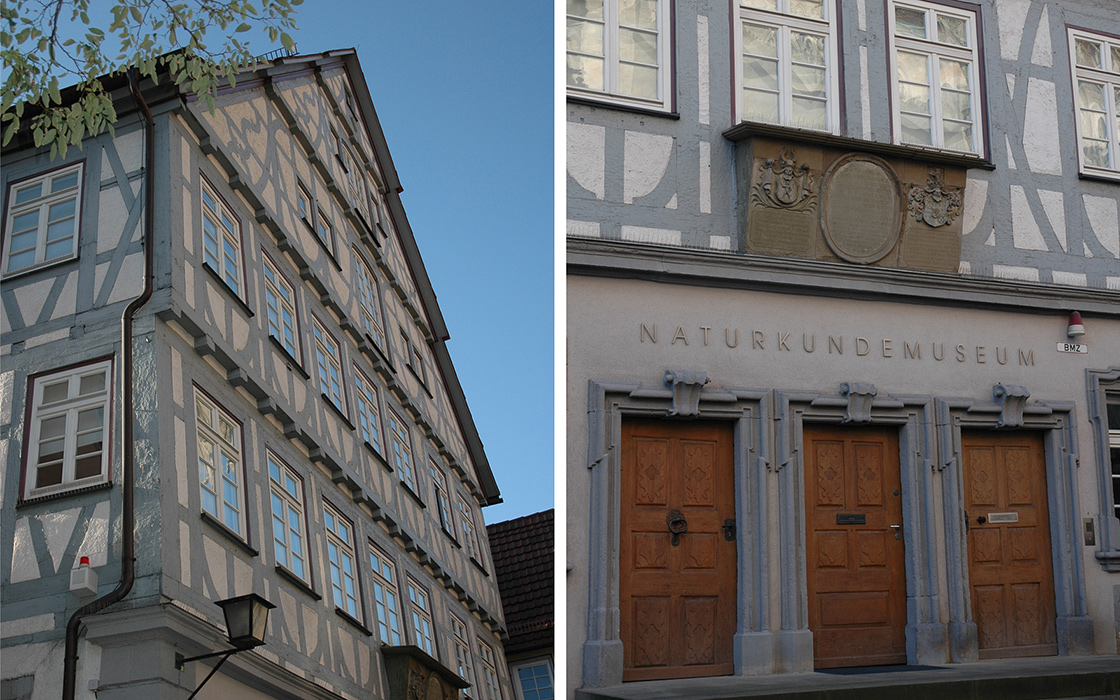 Umbau_Naturkundemuseum_01