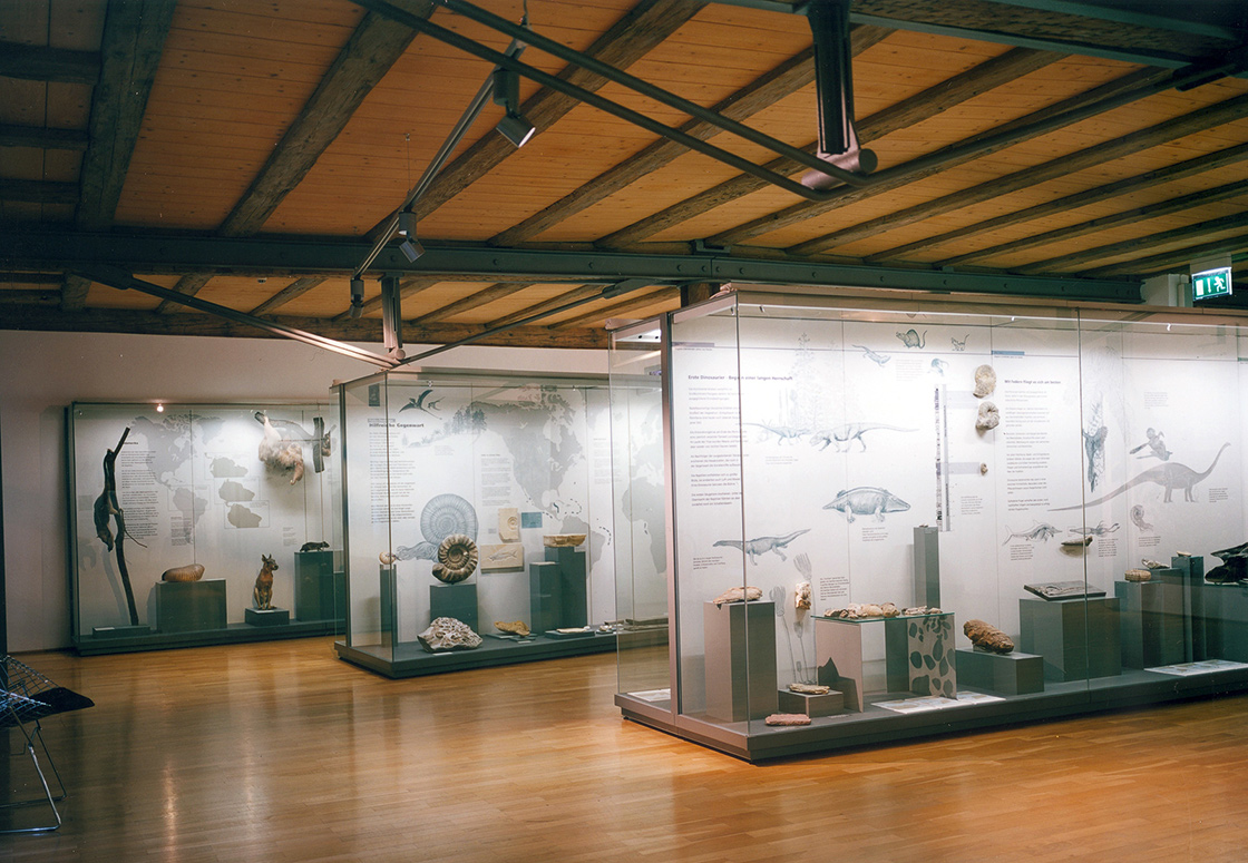 Umbau_Naturkundemuseum_04