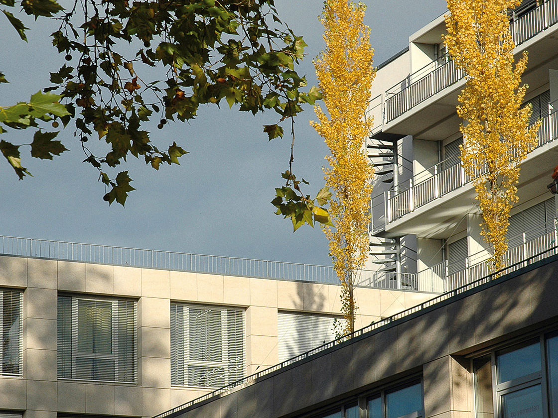 woge_wilhelmstr_01